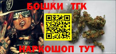 гидропоника Камышлов