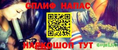 гидропоника Камышлов
