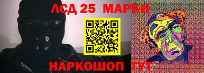 гидропоника Камышлов