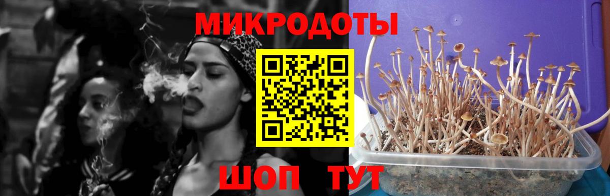 Экстази  МАРИХУАНА  Alpha PVP СК кристаллы  Кстово  Вход с VPN  МДМА  КОКАИН  Героин  Меф МЯУ МЯУ   МЕФ 